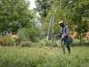 Why You Should Choose Professional Lawn Mowing Services in Longboat Key for a Perfect Lawn