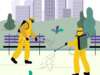 Official Pest Prevention: Essential Tips for Maintaining a Pest-Free Property